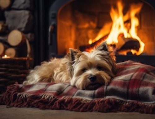 Safely Heat Your Home This Winter